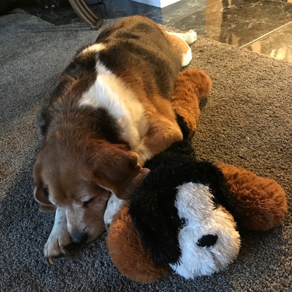 Like this post to “save” my closet! 🥰❤️ - Picture 4 of 8